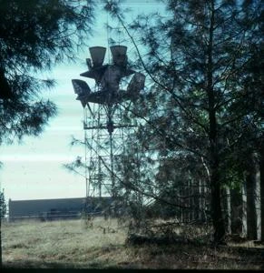 Picture provided by Billy Swatzell 12/22/2021